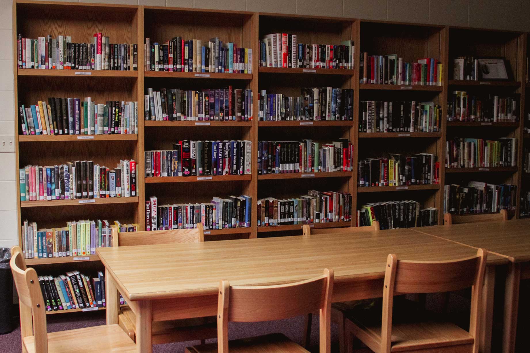 Ashby High School library MN